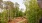 Lush green spaces perfect for weekend picnics and afternoon strolls